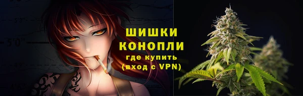 шишки Аркадак