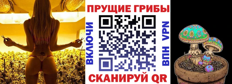 Псилоцибиновые грибы Psilocybine cubensis  Купить закладки  Новороссийск 